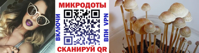 Псилоцибиновые грибы Magic Shrooms Челябинск