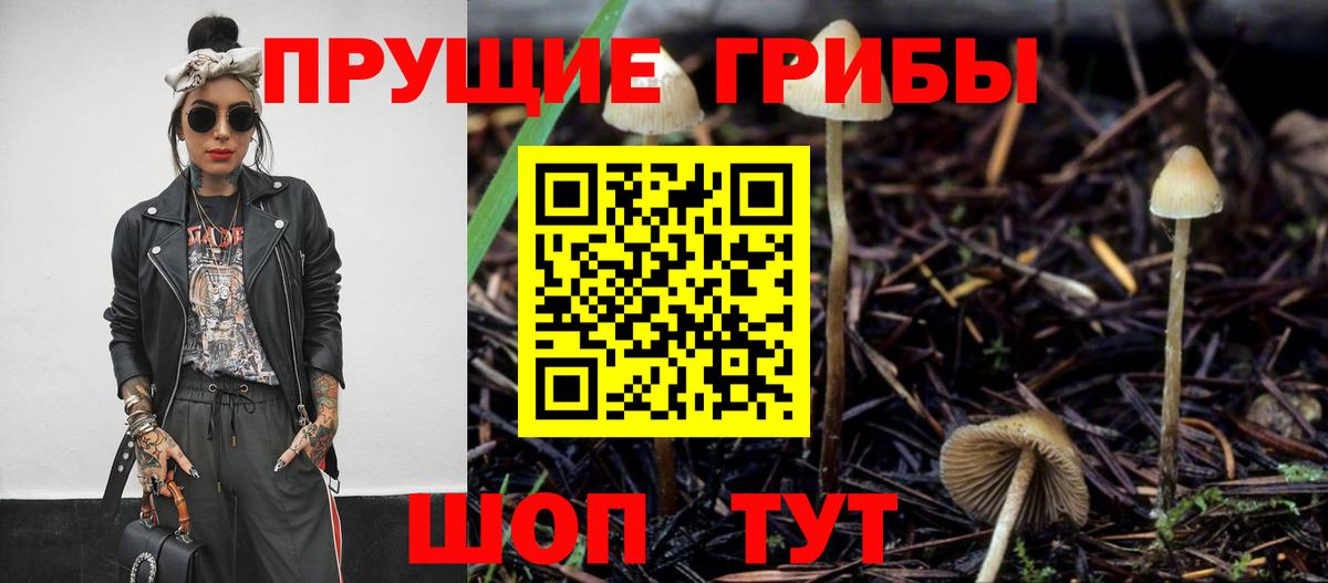 Псилоцибиновые грибы ЛСД  Псилоцибиновые грибы прущие грибы  Челябинск  Вход с VPN 