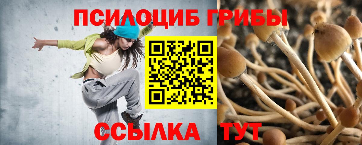 Галлюциногенные грибы Psilocybe Челябинск